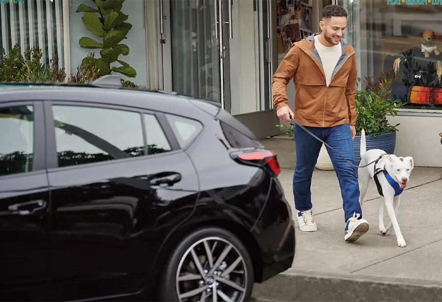Pre-Owned Subarus Man Walking Dog Behind Subaru